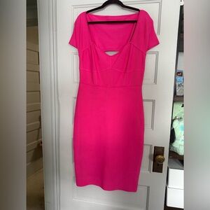 BCBG Elegant Pink bodycon Dress NWT size XL